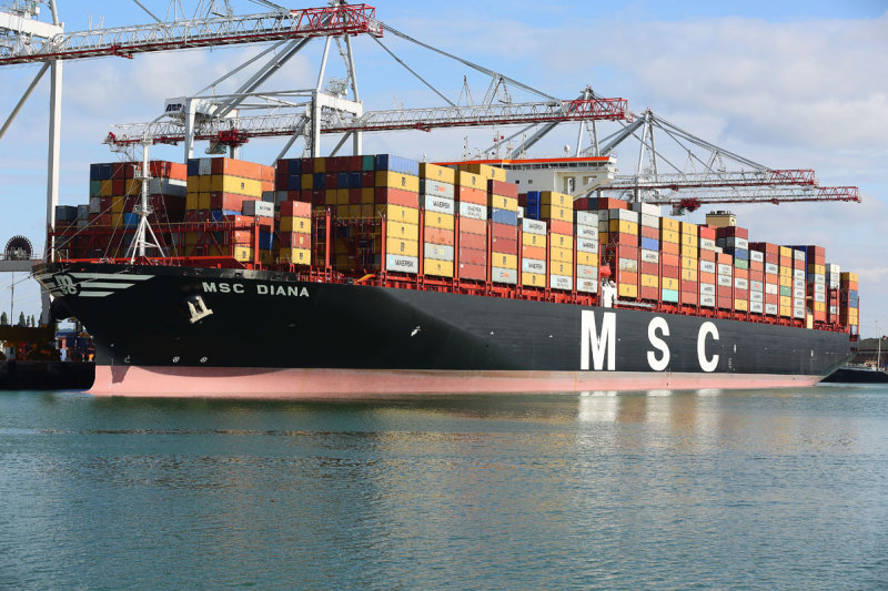 MSC Diana - Container Ship
